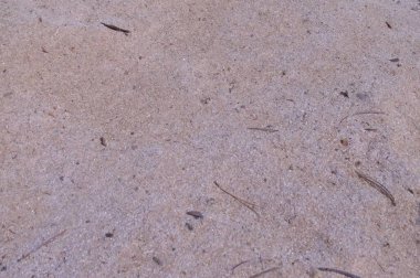 Yerde talaştan yapılmış sarı zemin