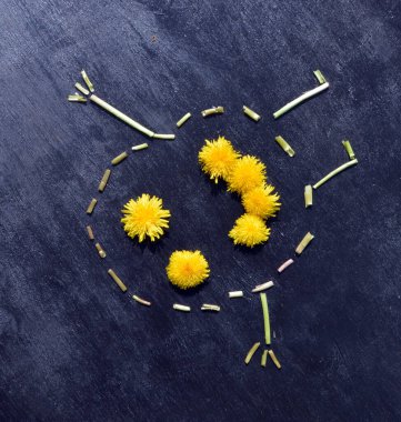 Papatyadan yapılmış güzel biblo siyah bir arkaplanda yatıyor.