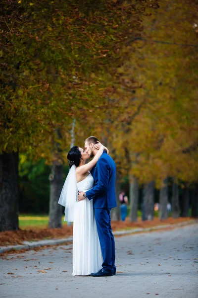 Brides kiss of autumn trees in the background — Stock Photo, Image