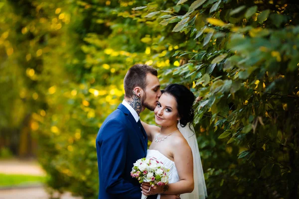 A noiva apaixonadamente beija a noiva — Fotografia de Stock