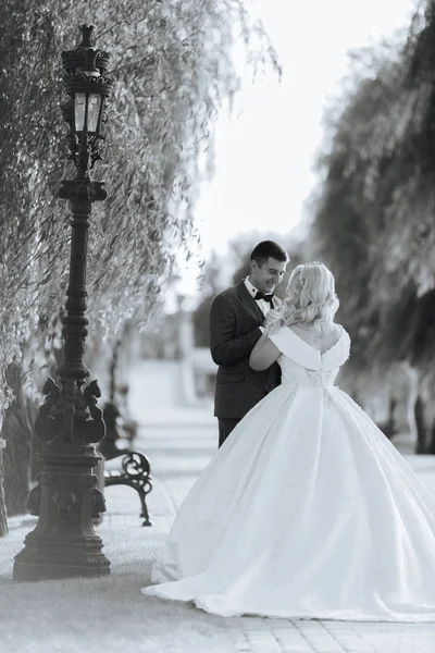 Наречений і наречений гуляють разом у парку. Чарівна наречена в білій сукні, наречений одягнений в темний елегантний костюм — стокове фото