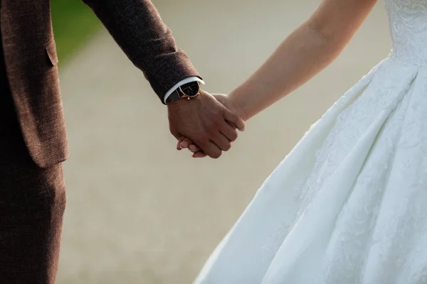 Back view of bride in white dress and groom in suit holding each others hands outdoors. — Stock Photo, Image