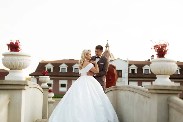 Svatební focení krásný pár nevěsta a ženich dlouhý závoj a bílé šaty na horách pozadí jezero obřad luxus krásný slunečný den — Stock fotografie