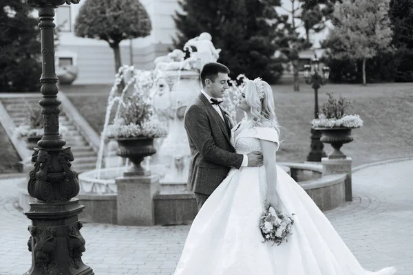 Şık güzel mutlu gelin ve damat, düğün kutlamaları — Stok fotoğraf