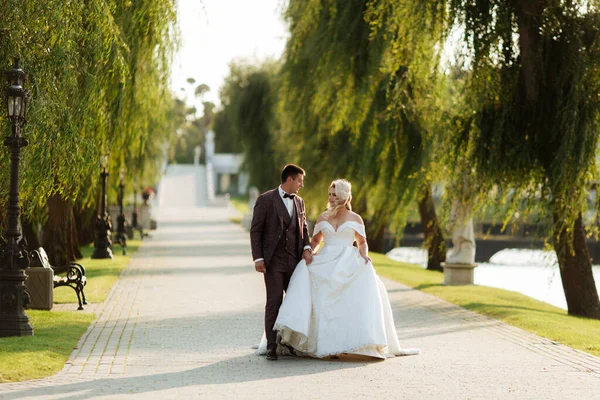 Novia Novio Caminan Juntos Parque Encantadora Novia Vestido Blanco Novio — Foto de Stock