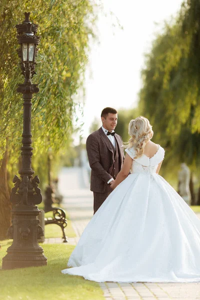 Просто Одружився Люблячою Парою Хіпстерів Весільній Сукні Костюмі Зеленому Полі — стокове фото