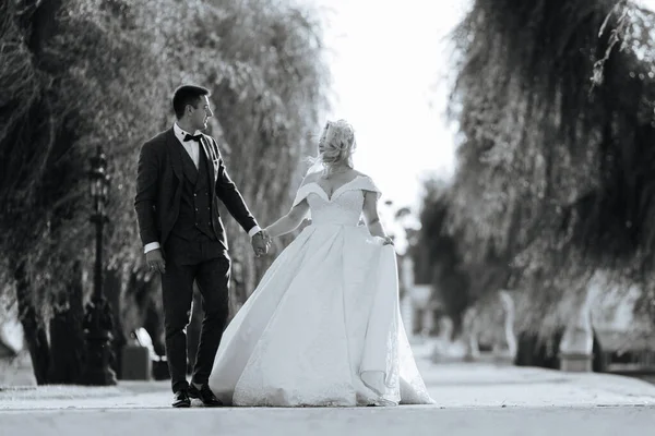 The bride and groom walk together in the park. Charming bride in a white dress, the groom is dressed in a dark elegant suit.
