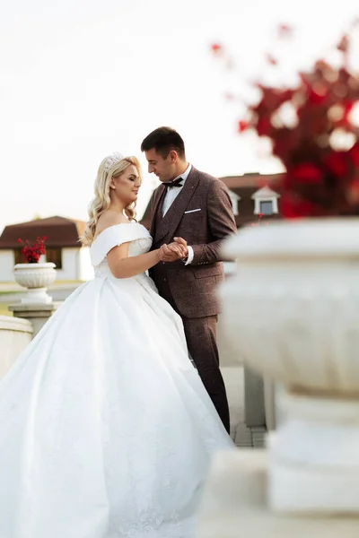 Stilvolle Schöne Glückliche Braut Und Bräutigam Hochzeitsfeiern — Stockfoto