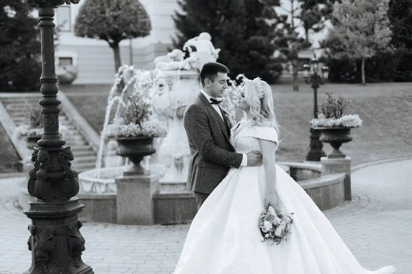 Stijlvolle Mooie Gelukkige Bruid Bruidegom Huwelijk Feesten — Stockfoto