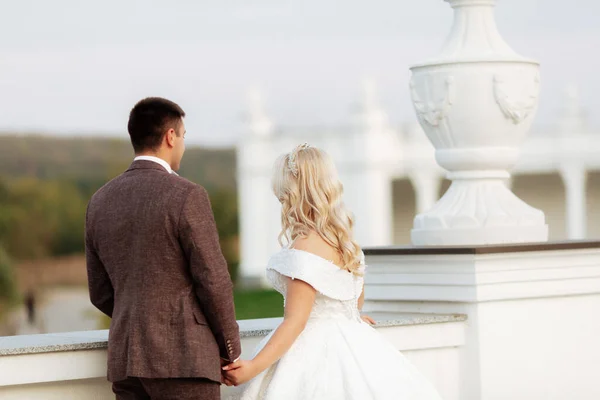 The bride and groom walk together in the park. Charming bride in a white dress, the groom is dressed in a dark elegant suit.