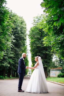 Düğün çifti, güzel genç gelin ve damat parkta el ele tutuşup gülümsüyorlar..