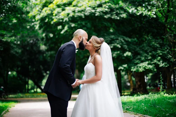 Europäisches Brautpaar Küsst Sich Park — Stockfoto
