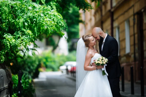 Wedding Couple Beautiful Young Bride Groom Standing Park Outdoors Holding — Stock Photo, Image