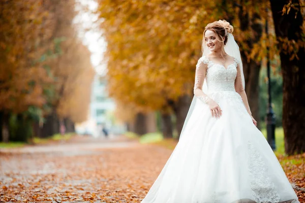 Hermosa Novia Vestido Novia Moda Sobre Fondo Natural Novia Joven — Foto de Stock