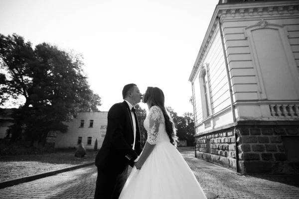 Wedding Bride Groom Loving Cpouple Marriage — Stock Photo, Image