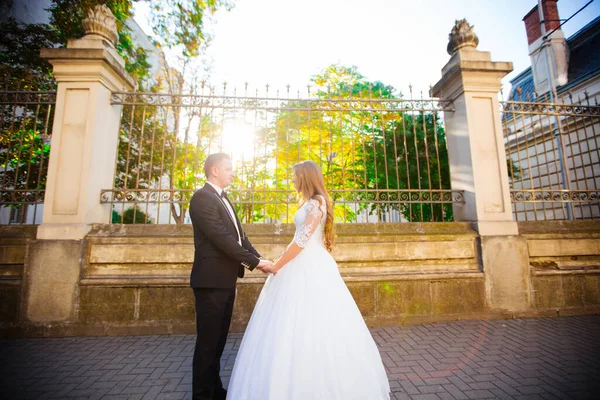 Glückliches Brautpaar Feiert Hochzeitstag — Stockfoto