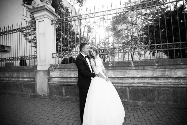 Nygift Par Med Poplarbakgrunn – stockfoto