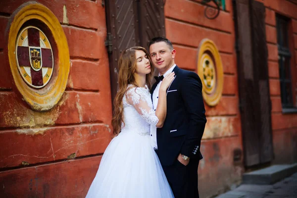 Glückliches Brautpaar Feiert Hochzeitstag — Stockfoto