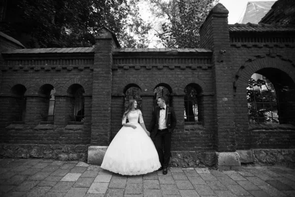 Casamento Noiva Noivo Amoroso Cpouple Casamento — Fotografia de Stock