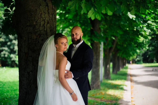 Very Beautiful Wedding Amazing Couple Wedding Day — Stock Photo, Image