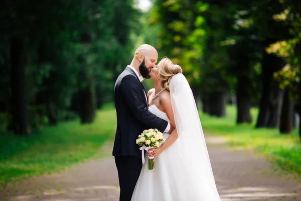 Casamento Muito Bonito Casal Incrível Dia Casamento — Fotografia de Stock