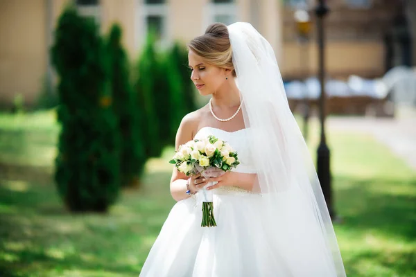 Beautiful Bride Fashion Wedding Dress Natural Background Stunning Young Bride — Stock Photo, Image