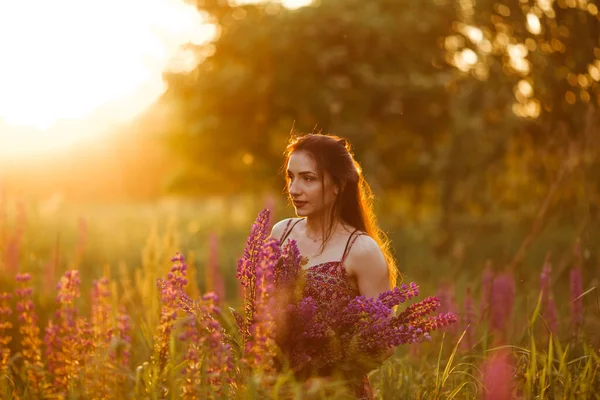 Odkryty Portret Pięknej Młodej Brunetki Atrakcyjna Sexy Dziewczyna Polu Kwiatami — Zdjęcie stockowe