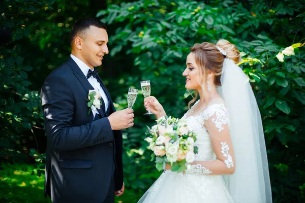 与新郎和新娘举行的婚礼上 来宾们会碰杯香槟或白葡萄酒 — 图库照片