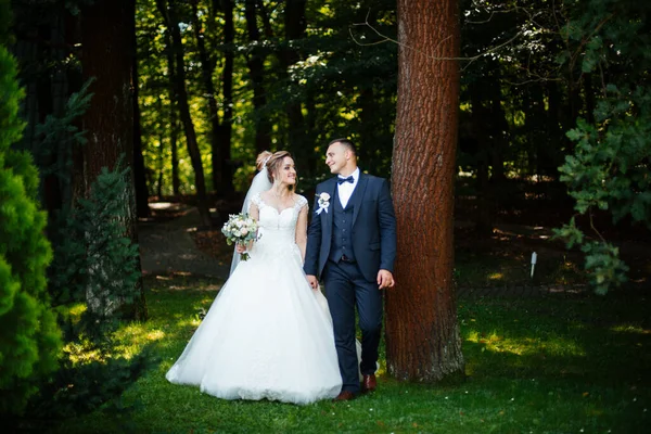 Wedding Couple Forest Sunset — Stock Photo, Image