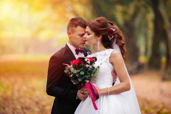 Boda Muy Hermosa Pareja Increíble Día Boda — Foto de Stock