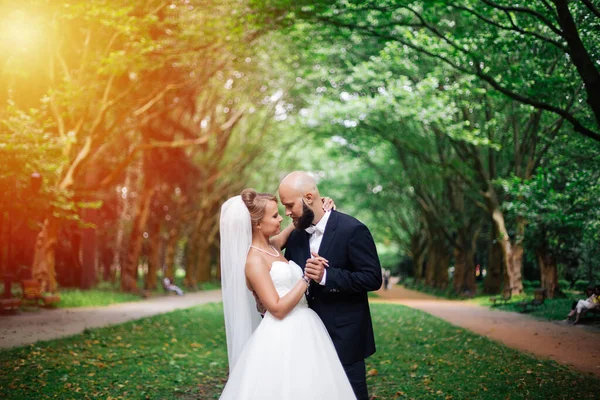 Muy Hermosa Boda Pareja Increíble Día Boda —  Fotos de Stock