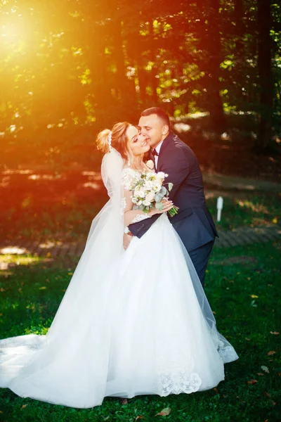 Wedding Couple Forest Sunset — Stock Photo, Image