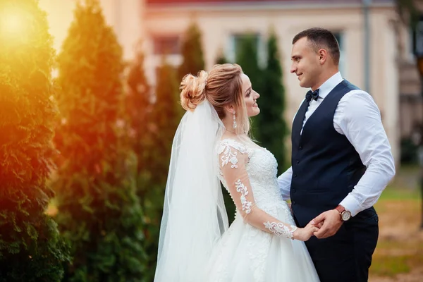 Braut Und Bräutigam Einem Park Kissing Couple Braut Und Bräutigam — Stockfoto