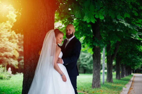 Лысая Невеста Бородой Красивая Пара День Свадьбы Лето — стоковое фото