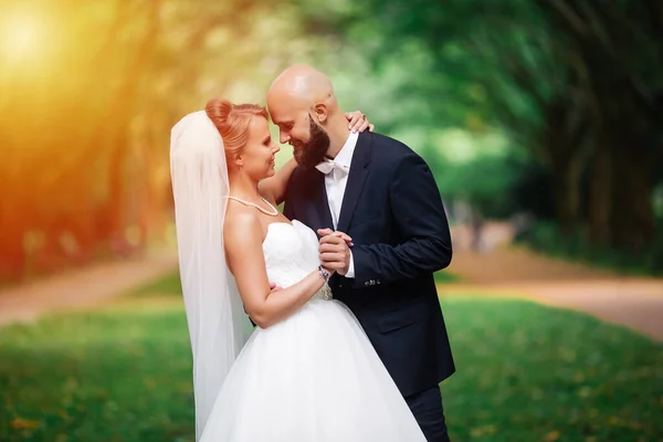 Wunderschöne Hochzeit Einem Sonnigen Tag Schönes Paar — Stockfoto