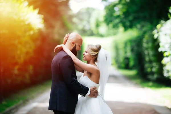 Wunderschöne Hochzeit Einem Sonnigen Tag Schönes Paar — Stockfoto