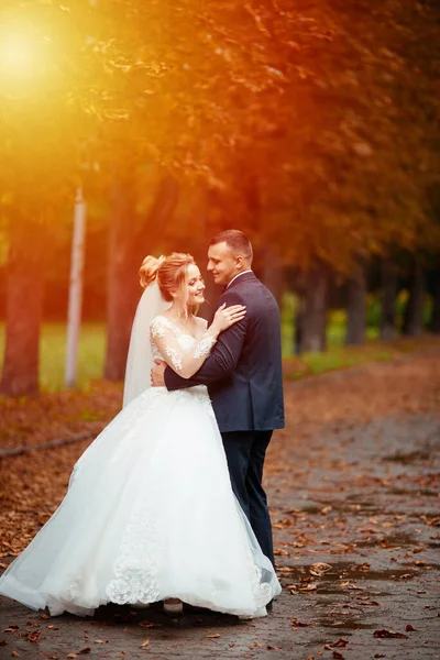 公園のキスで花嫁と新郎 自然緑の森の中の結婚式で新婚夫婦の花嫁と新郎は 写真の肖像画にキスをしています — ストック写真