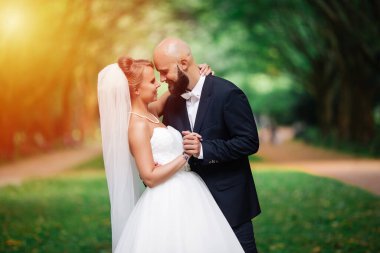 Güneşli bir günde harika bir düğün Güzel bir çift.