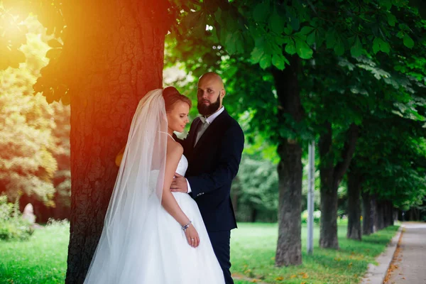 光头新娘 有胡子 年轻夫妇 结婚日 — 图库照片