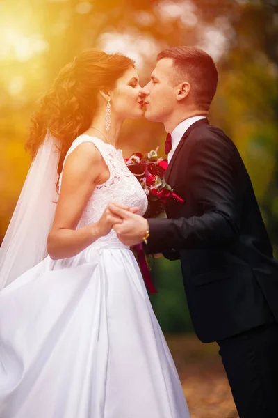 Braut Und Bräutigam Park Bräutigam Bei Der Hochzeit Der Natur — Stockfoto