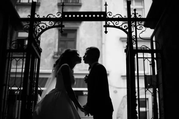 Casamento Muito Bonito Casal Incrível Dia Casamento — Fotografia de Stock