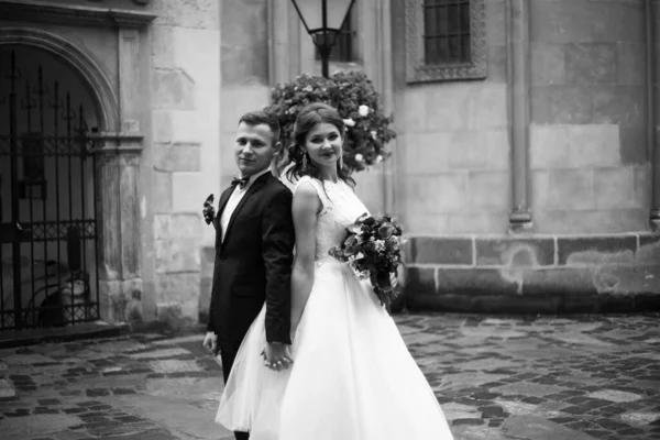 Beautiful Bride Groom Lion Celebrate Wedding Day — Stock Photo, Image