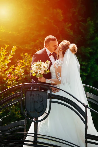 Gehen Braut Und Bräutigam Gemeinsam Durch Den Park Charmante Braut — Stockfoto