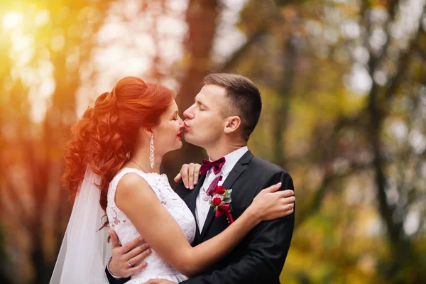 Boda Muy Hermosa Pareja Increíble Día Boda —  Fotos de Stock