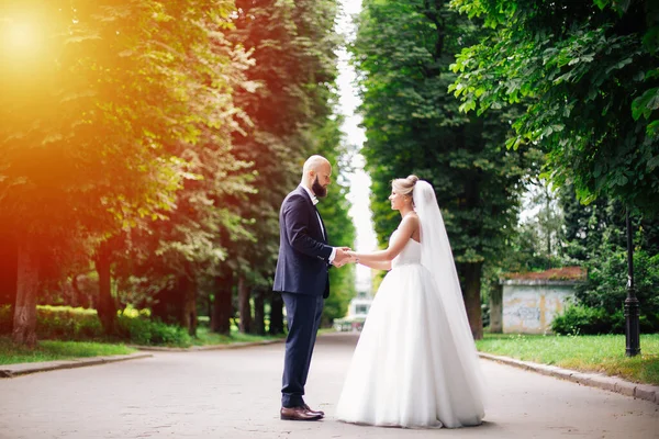 결혼식 아름다운 여름의 결혼식 — 스톡 사진