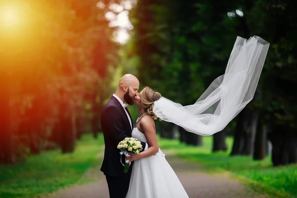 Ζευγάρι Γάμου Όμορφη Νεαρή Νύφη Και Γαμπρός Στέκεται Ένα Πάρκο — Φωτογραφία Αρχείου