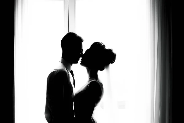 Portrait Silhouette Wedding Couple Husband Wife Who Kiss Wedding Stylish — Stock Photo, Image