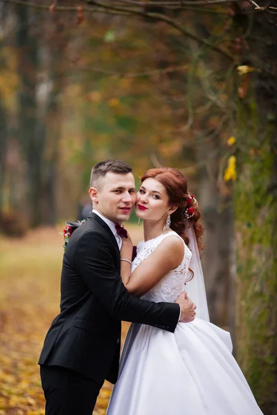 Boda Muy Hermosa Pareja Increíble Día Boda —  Fotos de Stock