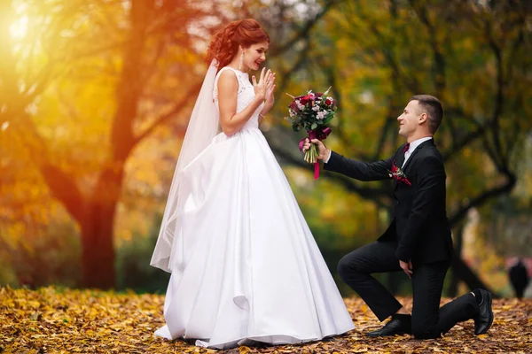 Bride and groom in the park. groom at wedding in nature green forest. Couple