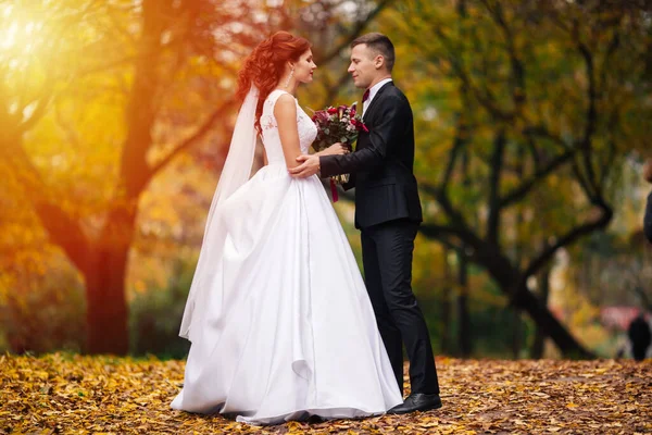 Sonnenschein Portrait Von Glücklichen Braut Und Bräutigam Freien Der Natur — Stockfoto